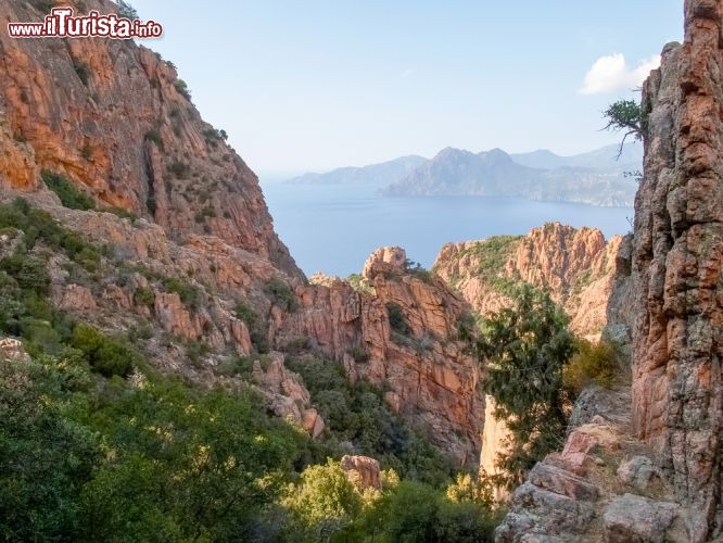 Immagine Passeggiata tra i Calanchi di Piana le spettacolari rocce della Corsica - © Mor65_Mauro Piccardi / Shutterstock.com