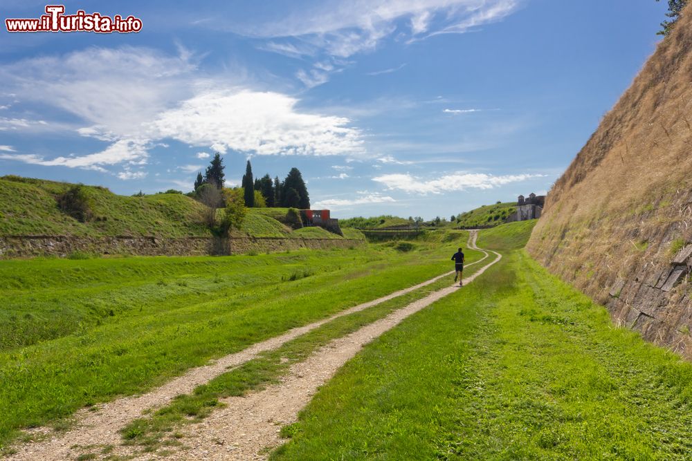 Immagine Passeggiata tra le fortificazioni di Palmanova, in Friuli