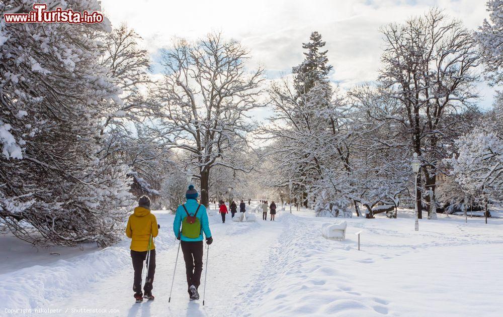 Immagine Passeggiate di Nordic Walking in un parco di Mariasnke Lazne, Repubblica Ceca, in inverno con la neve - © nikolpetr / Shutterstock.com