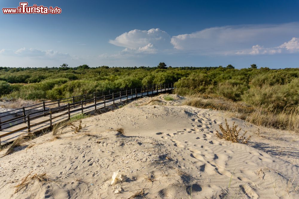 Immagine Passerella di legno sulle dune nella spiaggia di Vila Real de Santo Antonio, Algarve, Portogallo.