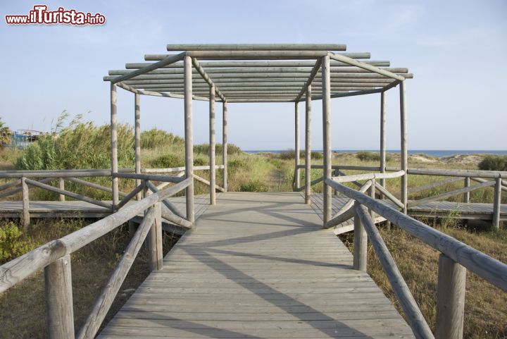 Immagine Passerella in legno a Zahara de los Atunes, Spagna. Si percorre questo pratico percorso rialzato in legno per raggiungere la spiaggia di questa località dell'Andalusia - © tonisalado / Shutterstock.com