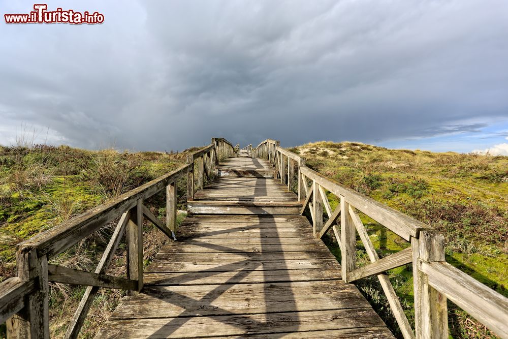 Immagine Passerella in legno fra le dune del litorale nei pressi di Esposende, Portogallo.