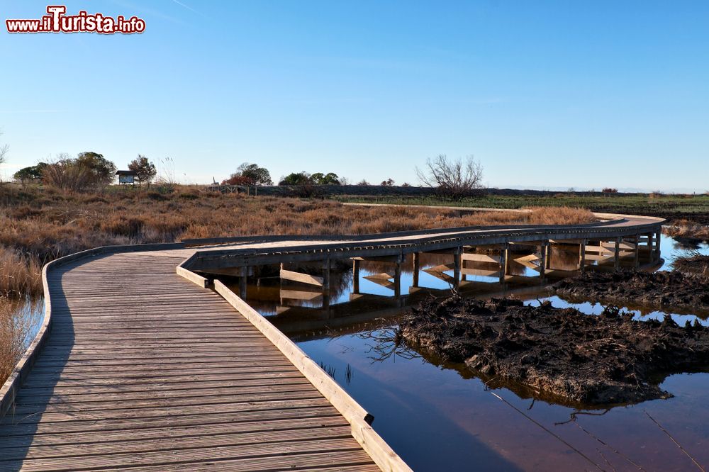 Immagine Passerella in legno in un paesaggio naturale nei pressi di Sagunto, Comunità Autonoma Valenciana (Spagna).