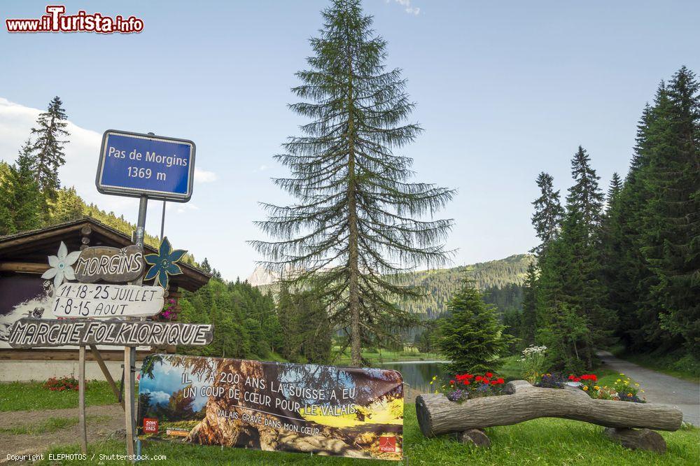 Immagine Il Passo di Morgins nelle Alpi, Svizzera. Siamo al confine tra Francia e Svizzera - © ELEPHOTOS / Shutterstock.com