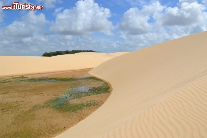 Immagine Pequenos Lencois a Vassouras (Barreirinhas) sono una specie di "antipasto" del grande Parque Nacional Lençois Maranhenses del Brasile, nello stato di Maranhao 