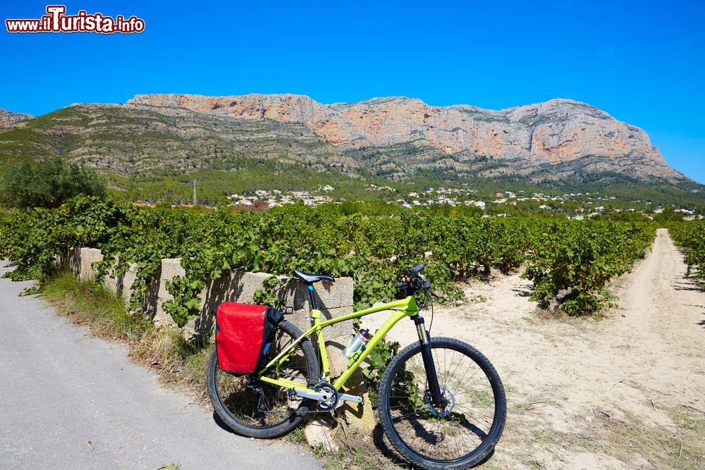 Immagine Percorsi in bici attraverso i vigneti di Javea, Spagna.