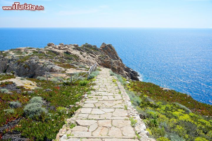 Immagine Percorso di trekking sull'isola del Giglio, verso la punta sud dell'isola - © Matteo Gabrieli / Shutterstock.com