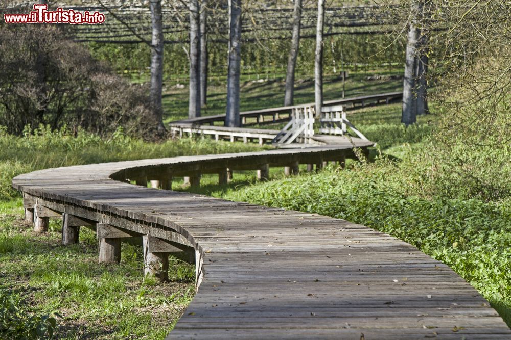 Immagine Percorso su passerelle intorno al Lago di Terlago, in Trentino