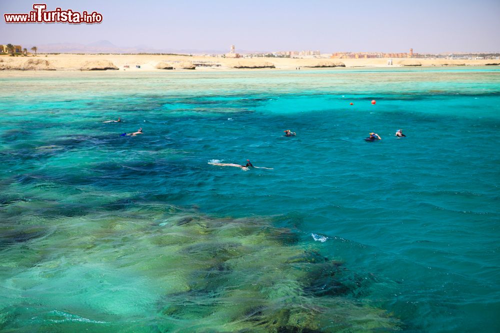 Immagine Persone fanno snorkeling in una bella barriera corallina nei pressi di Port Ghalib, Egitto. A pochi metri dalla riva si può nuotare in un vero e proprio acquario naturale ricco di pesci colorati.