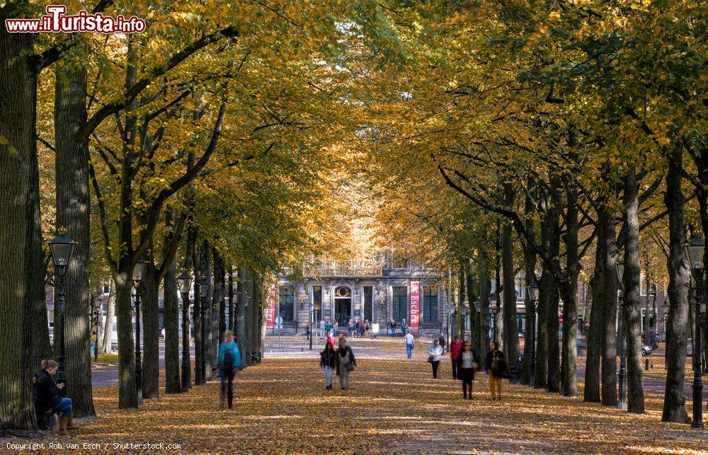 Immagine Persone passeggiano a Lange Voorhout, Den Haag (Olanda) in autunno. Si tratta di una strada a forma di L situata nel centro storico della città e che raggiunge i 500 metri di lunghezza - © Rob van Esch / Shutterstock.com