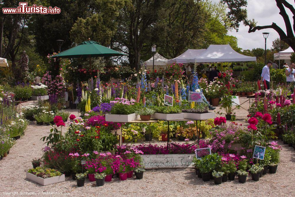 Immagine Giardini del Frontone: i colori del Perugia Flower Show la manifestazione floreale in Umbria. - © Buffy1982 / Shutterstock.com