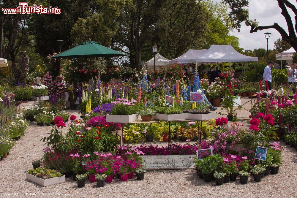 Perugia Flower Show Perugia