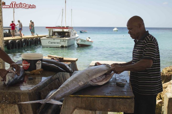 Immagine Un pescatore pulisce un grosso pesce a Playa Grandi, Curacao, Antille olandesi. Questa piccola spiaggia di pescatori è celebre anche per le immersioni. L'accesso all'acqua è piuttosto roccioso.