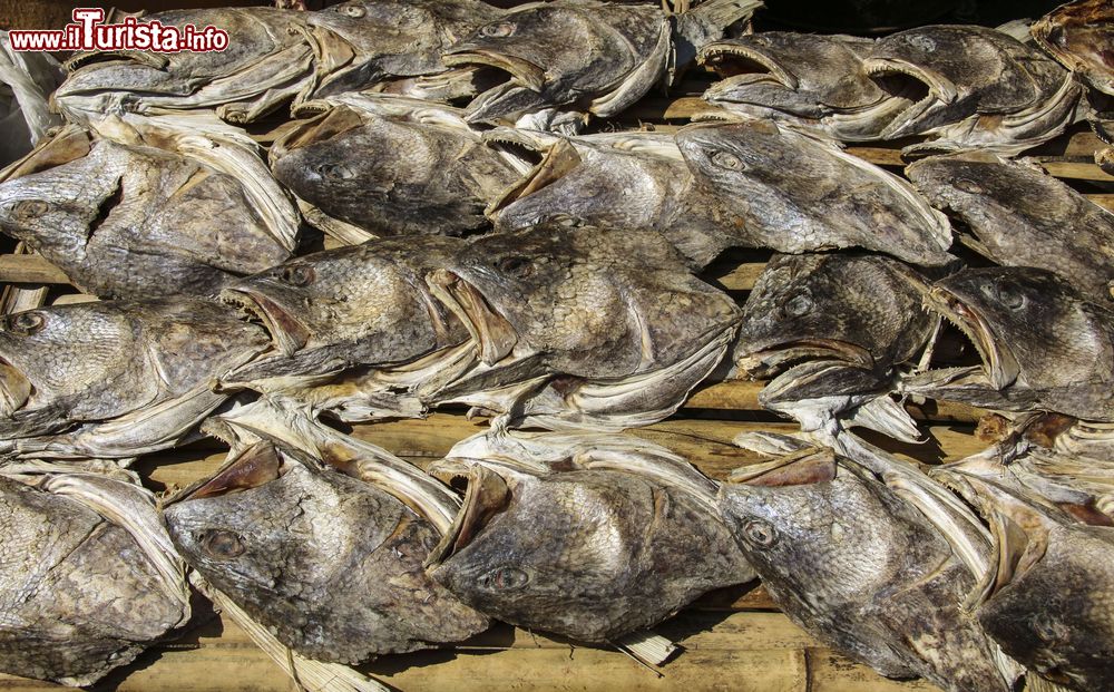 Immagine Il pesce essiccato all'aperto e destinato alla consumazione in un mercato di strada, Mergui, Mynamar.