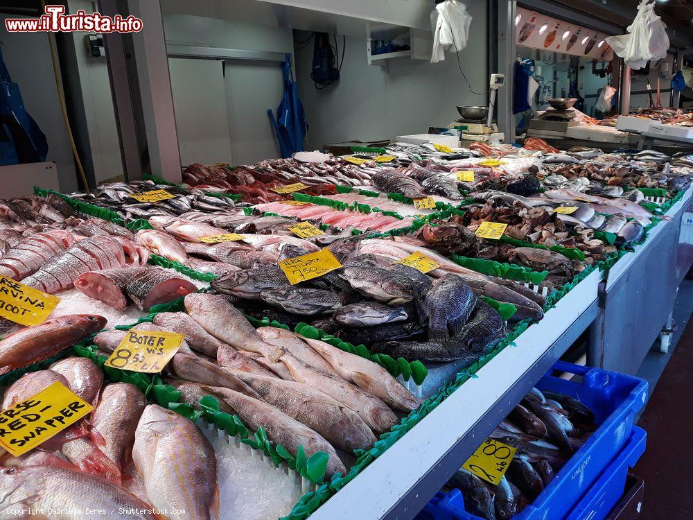 Immagine Pesce fresco al The Hague Market (De Haagse Markt), Olanda. Si tratta di uno dei più grandi mercati multiculturali d'Europa: ogni giorno viene visitato da circa 25 mila persone - © Gabriela Beres / Shutterstock.com