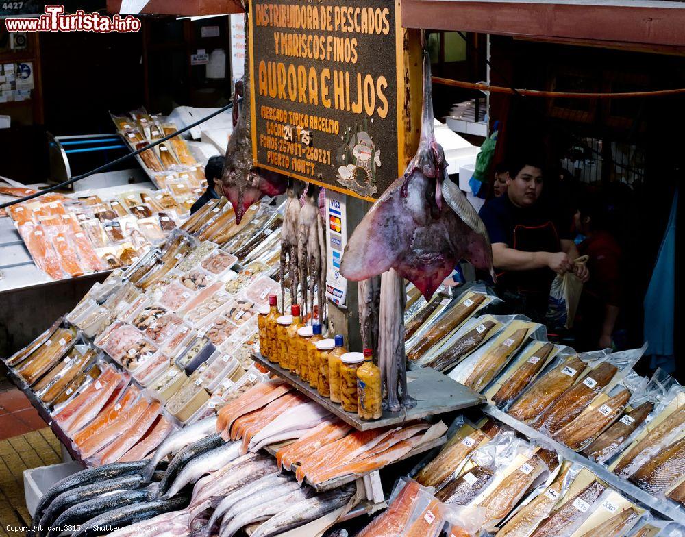 Immagine Pesce fresco, essiccato e frutti di mare all'Angelmo Fish Market di Puerto Montt, Cile - © dani3315 / Shutterstock.com