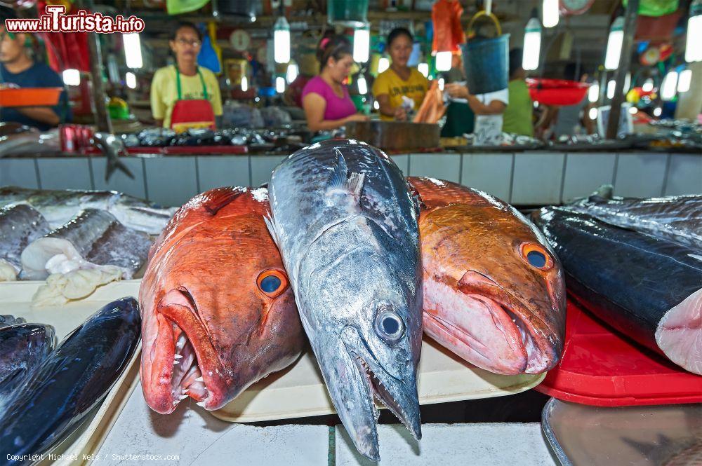 Immagine Pesce fresco in vendita al mercato centrale di Puerto Princesa, capitale dell'isola di Palawan, Filippine. Sullo sfondo, i venditori in attesa dei loro clienti © Michael Wels / Shutterstock.com