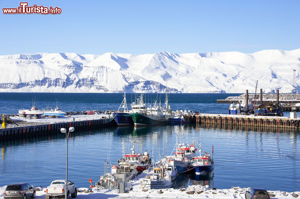 Immagine Pescherecci ormeggiati nel porto di Husavik e, sullo sfondo, le montagne innevate. Siamo nel nord dell'Islanda, a circa 463 km da Reykjavik.