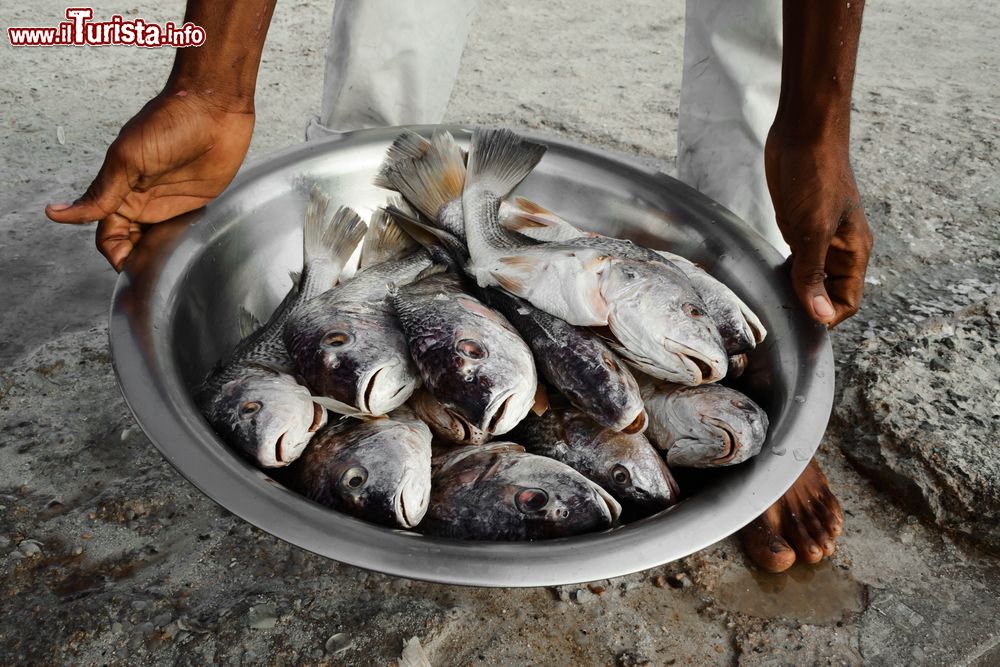 Immagine Pesci tropicali appena pescati pronti per la cottura sulla spiaggia di Boca Chica, Repubblica Dominicana.