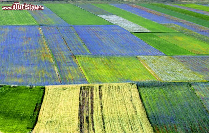 Immagine Una suggestiva immagine di Piano Grande di Castelluccio, Umbria, Italia. Questo famoso altopiano nel parco naturale dei Monti Sibillini, tra fine maggio e inizio luglio si trasforma in un tripudio di sfumature che da vita a uno spettacolo della natura chiamato "La Fiorita" di Castelluccio di Norcia - © Claudio Giovanni Colombo / Shutterstock.com