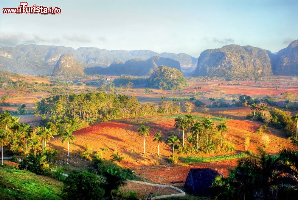 Immagine Le piantagioni di tabacco nella splendida Valle de Viñales (Cuba), Patrimonio dell'Umanità dichiarato dall'UNESCO nel 1999.