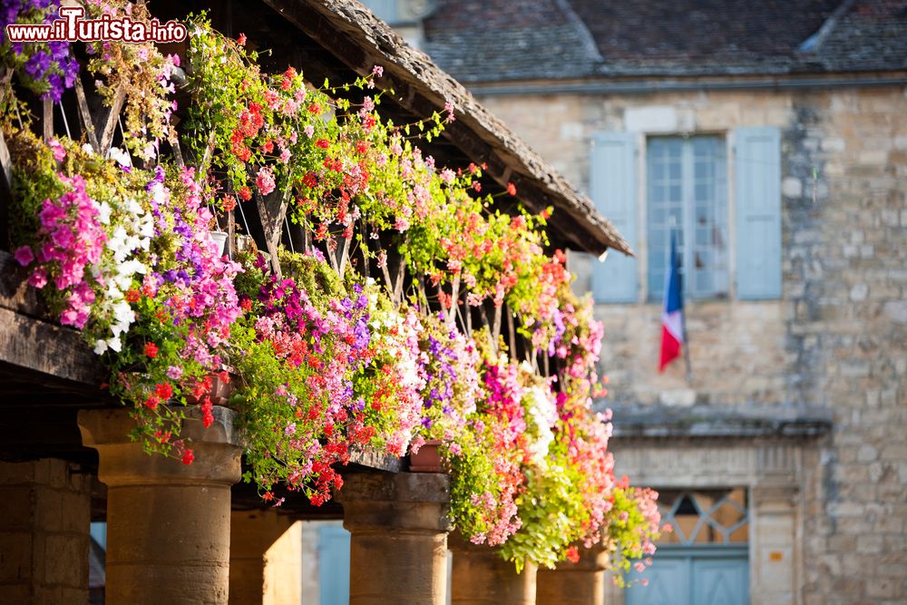 Immagine Piante di gerani fioriti abbelliscono la piazza principale di Domme, Dordogna, Francia.