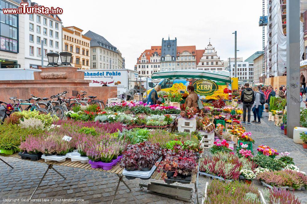 Immagine Piante e fiori in vendita in Marktplaz, la principale piazza della città di Lipsia (Germania) - © Gaid Kornsilapa / Shutterstock.com