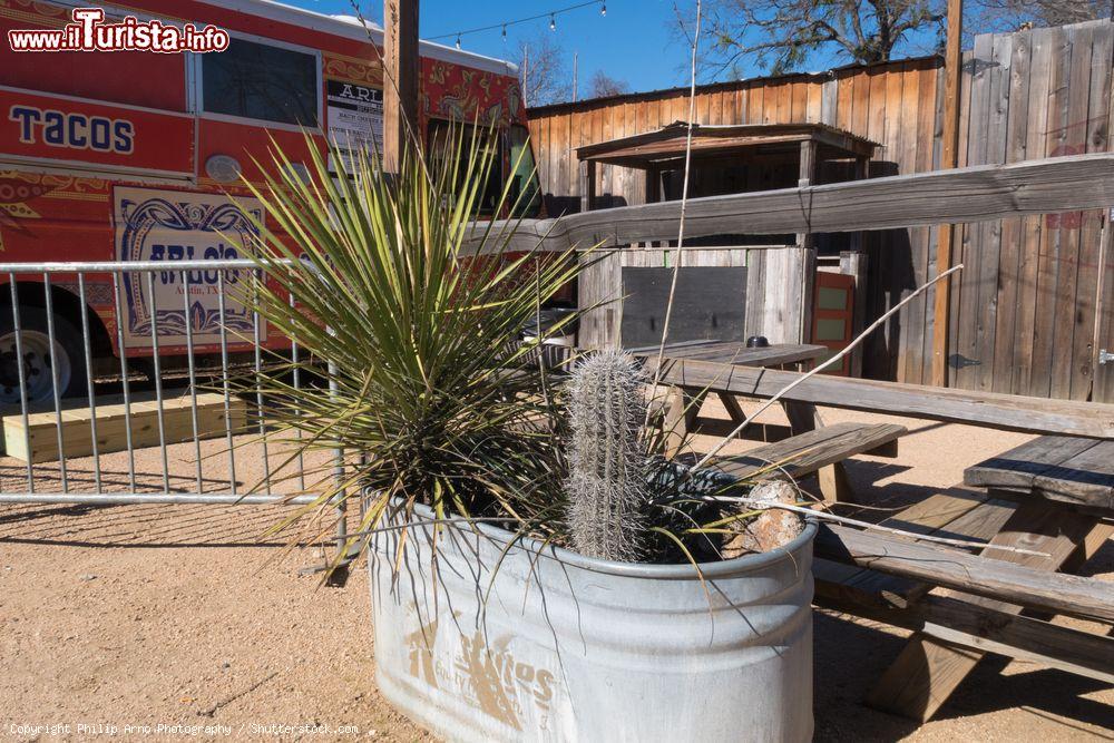 Immagine Piante grasse in vaso vicino alla cucina di Arlo's CurbSide a Austin (Texas). E' noto per i suoi panini, le patatine fritte e lo "street food" - © Philip Arno Photography / Shutterstock.com