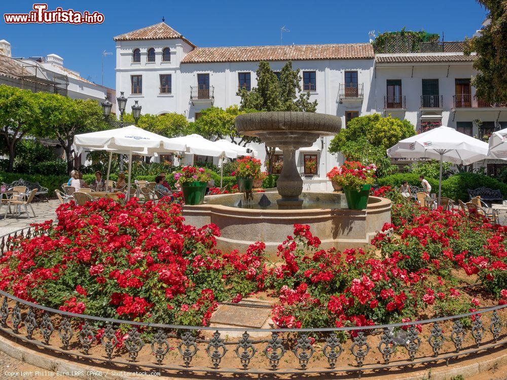 Immagine Piazza dei Fiori nel centro della cittadina di Estepona, Spagna. Sullo sfondo, tavolini e sedie di un bar all'aperto - © Philip Bird LRPS CPAGB / Shutterstock.com