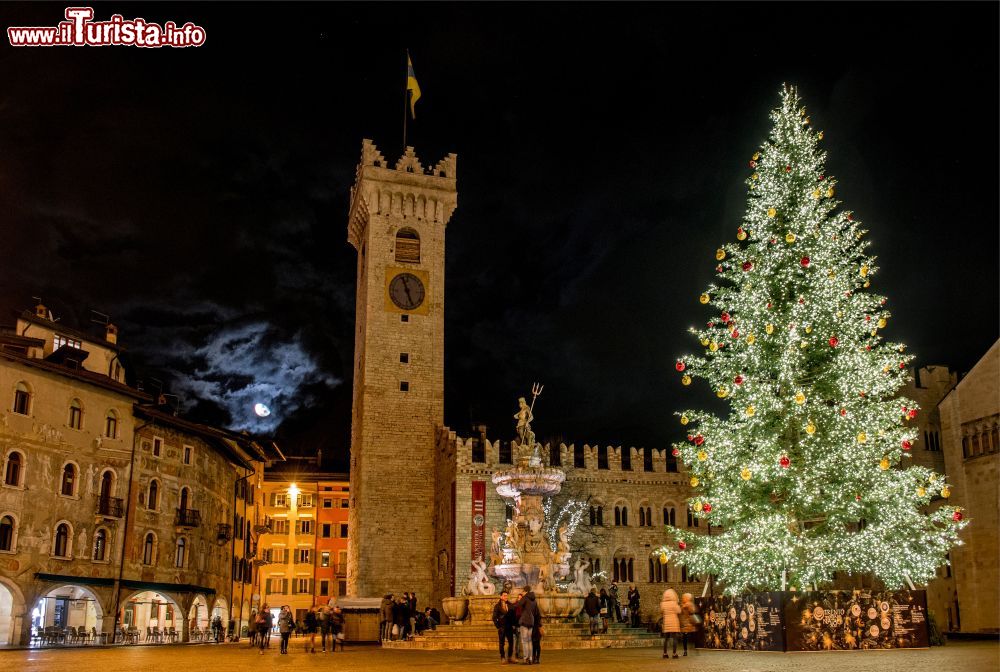 Immagine La suggestiva Piazza del Duomo di Trento a Natale con lo splendido albero addobbato - ©  foto M. Miori