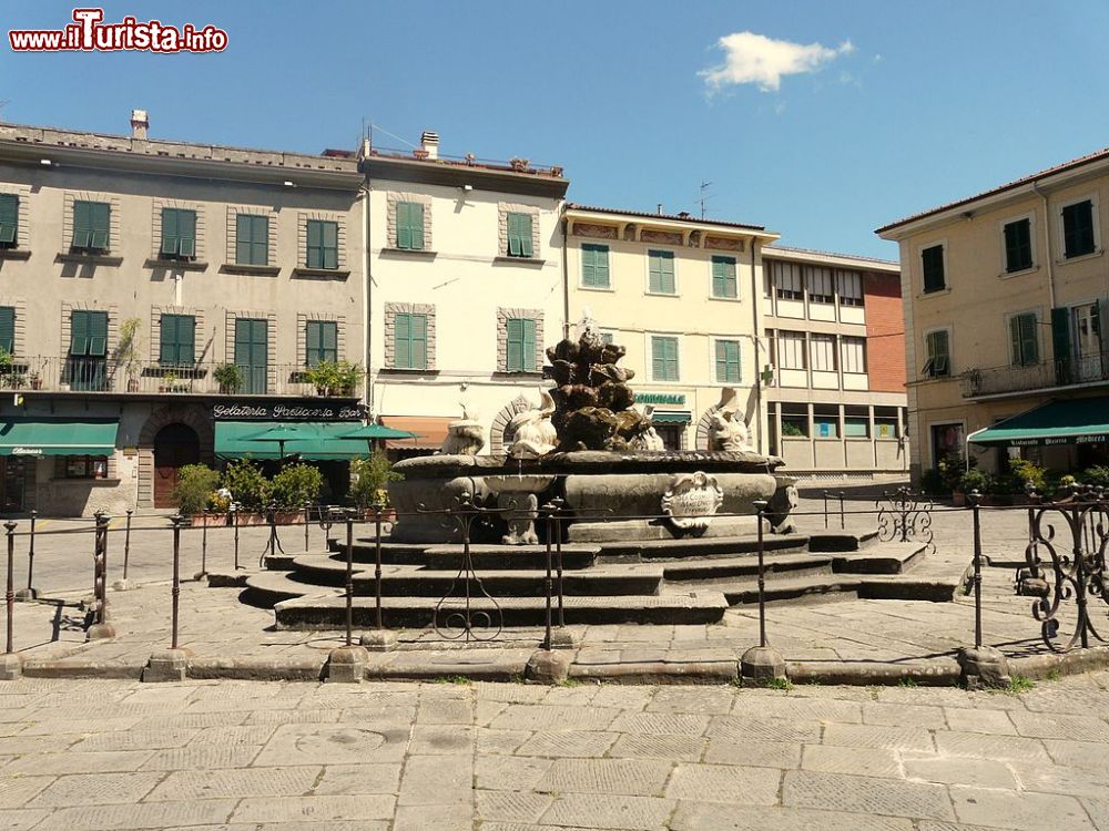 Immagine L'elegante Piazza Medicea in centro a Fivizzano in Toscana