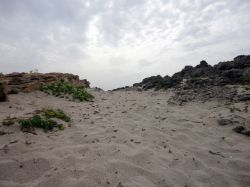 Sabbia e scogliere a Favignana, Sicilia. Il paesaggio di questa bella isola delle Egadi alterna tratti sabbiosi a zone di scogli


