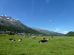 Sport e natura connubio in Svizzera