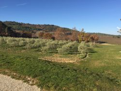 Il paesaggio intorno a  Le Puy Sainte Reparade in Provenza