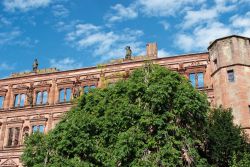 Dettaglio delle rovine del Castello di Heidelberg - ©German National Tourist Board