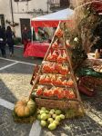 Una manifestazione a San Potito Sannitico in Campania