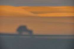 Abu Muharrik, il lungo cordone di dune longitudinali in Egitto: la Land Cruise Toyota di Maurizio Levi al tramonto - In collaborazione con I Viaggi di Maurizio Levi