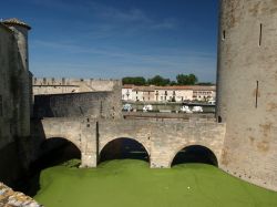 Borgo e canali di Aigues Mortes, Provenza - Passeggiando lungo il tratto di mura difensive accessibili al pubblico si possono ammirare caratteristici scorci paesaggistici come quello ritratto ...