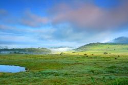 Alba sul Lago Nakuru in Kenya, lungo la celebre ...