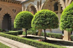 Intorno al Palazzo della Aljaferìa di Saragozza, Spagna, i giardini rigogliosi, gli alberi di arance e i canali di irrigazione ricordano il paradiso di tradizione musulmana - © Andrey ...