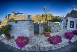 Alberobello trulli fotografati all albaPuglia  - © pisaphotography / Shutterstock.com