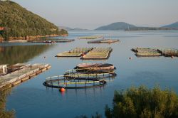 Allevamenti di pesci nel mare di Igoumenitsa, in Epiro (Grecia) - © ollirg / Shutterstock.com