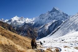 L'Annapurna, uno dei tanti 8.000 metri del Nepal è considerata come la montagna più pericolosa al mondo - © David Min / Shutterstock.com
