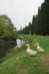 Aquileia Passeggiata lungo il porto fluviale