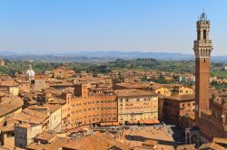 Siena, Toscana: le architetture medievali intorno a Piazza del Campo si dispongono a ventaglio, seguendo la pianta a conchiglia della piazza. Sulla destra nell'immagine la Torre del Mangia, ...