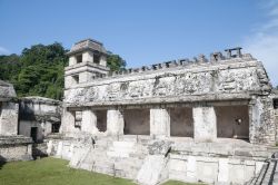 Una delle architetture di Palenque (Chiapas, Messico). L'area del sito archeologico, corrispondente all'antica città, è di circa 2,5 km², ma pare che la maggior parte ...
