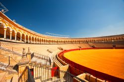 La Plaza de Toros di SIviglia, o Arena de la Real Maestranza, è uno dei luoghi più prestigiosi della tauromachia spagnola nonché, dopo l'arena di Ronda, la più ...