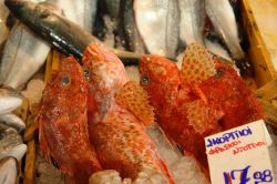Il mercato del pesce di Atene
