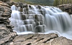 Le cascate Athabasca all'interno del Jasper National Park di Alberta, Canada. I getti d'acqua, spettacolari anche se non molto alti, modellano le rocce del parco e impressionano col ...