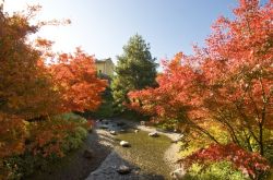 Autunno ai Giadini di Sissi Merano a Merano - cortesia foto www.trauttmansdorff.it